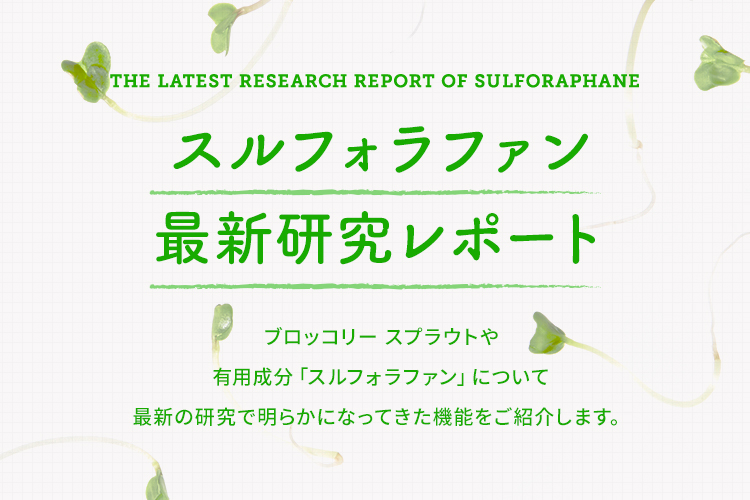 スルフォラファン 最新研究レポート ブロッコリースプラウトや有用成分「スルフォラファン」について、最新の研究で明らかになってきた機能をご紹介します。