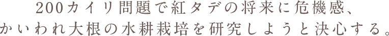 200カイリ問題で紅タデの将来に危機感、かいわれ大根の水耕栽培を研究しようと決心する。