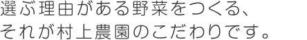選ぶ理由がある野菜をつくる、それが村上農園のこだわりです。