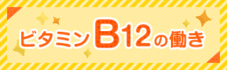 ビタミンB12の働き