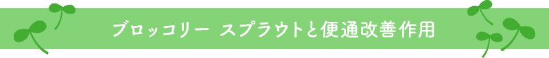 ブロッコリー スプラウトと便通改善作用