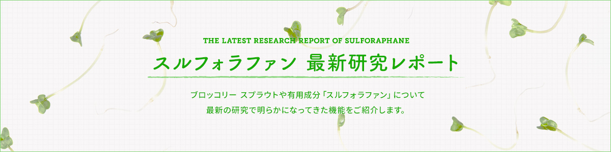 スルフォラファン 最新研究レポート ブロッコリースプラウトや有用成分「スルフォラファン」について、最新の研究で明らかになってきた機能をご紹介します。