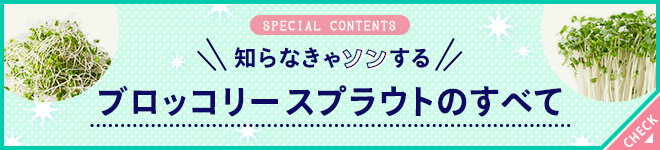 知らなきゃソンするブロッコリースプラウトのすべて