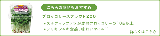 スルフォラファンを高濃度に含む発芽1週間目の「ブロッコリー スプラウト」についてはこちら