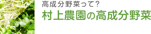 高成分野菜って?村上農園の高成分野菜