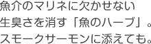 魚介のマリネに欠かせない、生臭さを消す「魚のハーブ」。スモークサーモンに添えても。