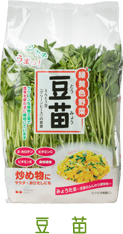 豆苗