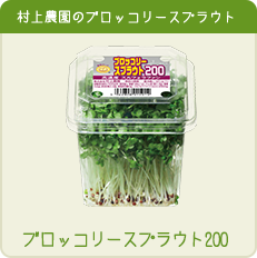 ブロッコリー