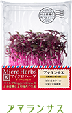 アマランサス