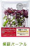 紫蘇パープル