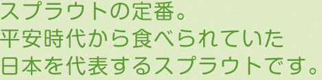 スプラウトの定番。平安時代から食べられていた日本を代表するスプラウトです。