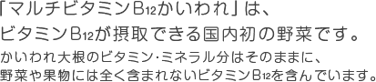 「B<sub>12</sub>かいわれ」は、ビタミンB<sub>12</sub>が摂取できる国内初の野菜です。 かいわれ大根のビタミン・ミネラル分はそのままに、野菜や果物には全く含まれないビタミンB12を含んでいます。