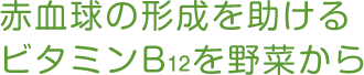 赤血球の形成を助けるビタミンB12を野菜から