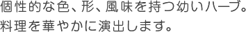 個性的な色、形、風味を持つ幼いハーブ。料理を華やかに演出します。