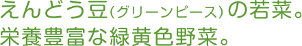 えんどう豆（グリーンピース）の若菜。栄養豊富な緑黄色野菜。