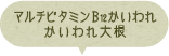 マルチビタミンB12かいわれ かいわれ大根