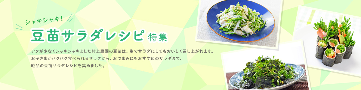豆苗サラダレシピ特集