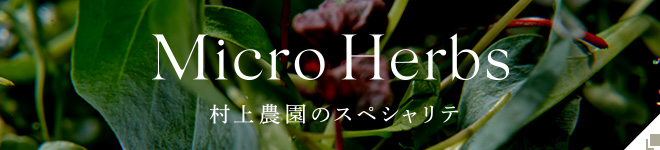 MicroHerbsブランドサイト