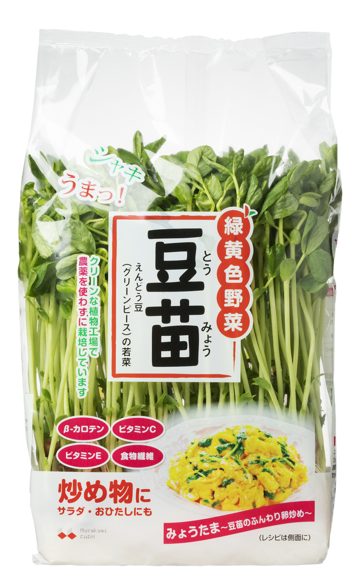 豆苗(みょうたま).png