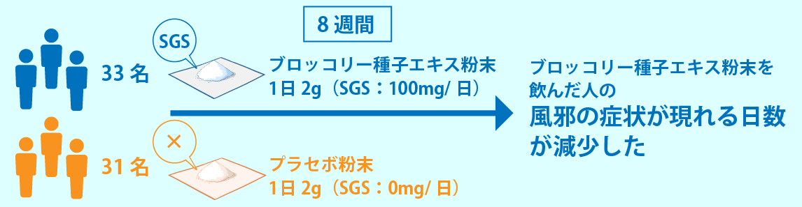 スルフォラファン論文紹介（20230609更新）のコピー.png
