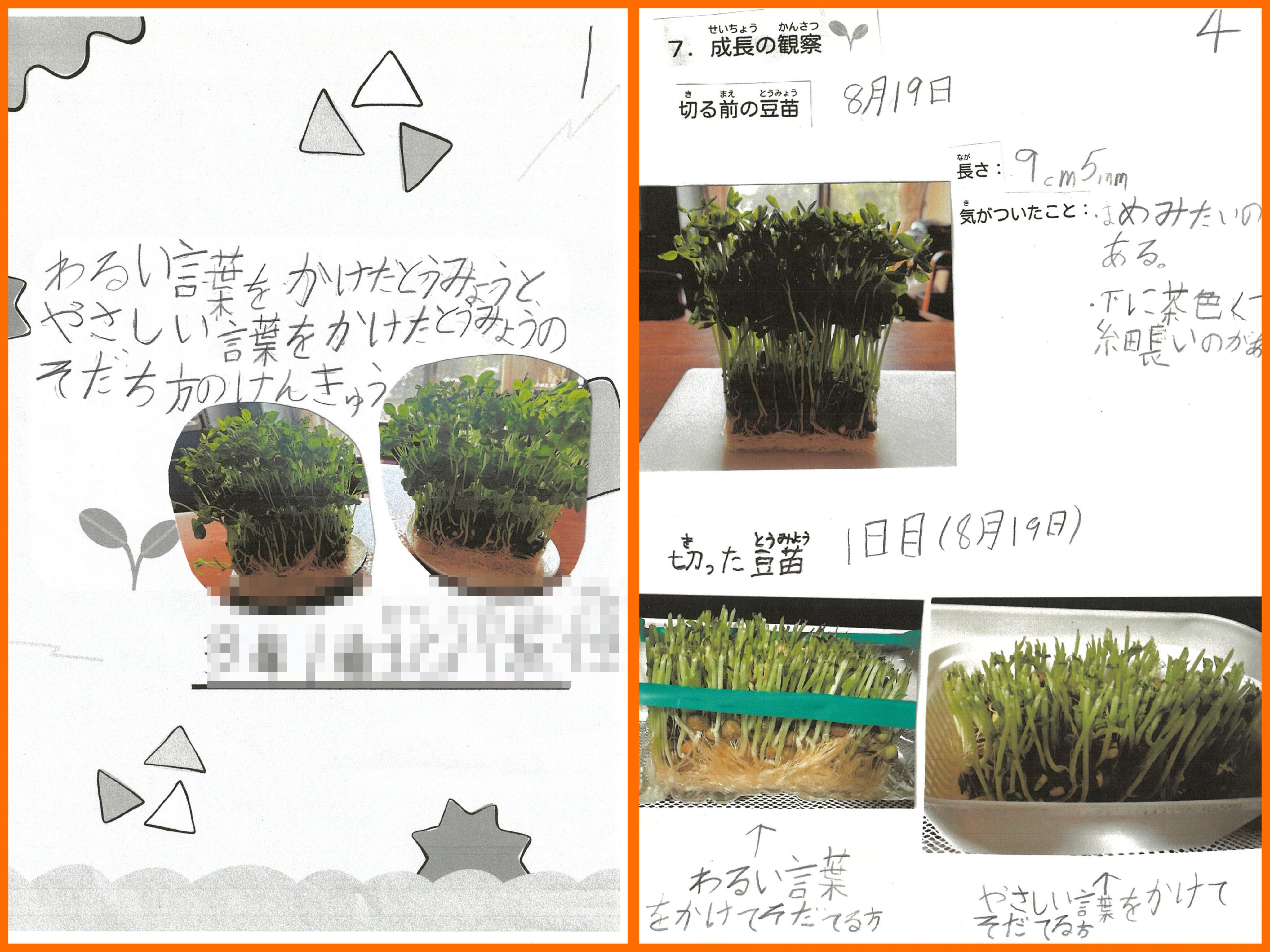 ユニーク賞リリース用.JPG