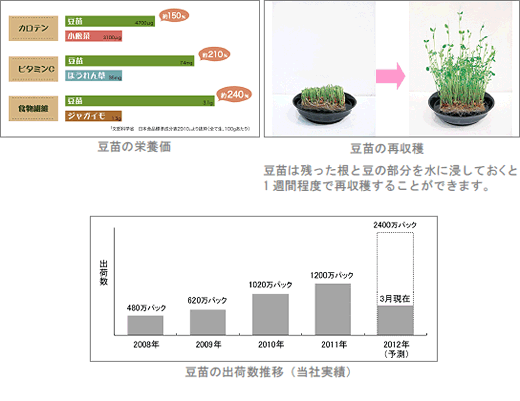 グラフ:豆苗の栄養価