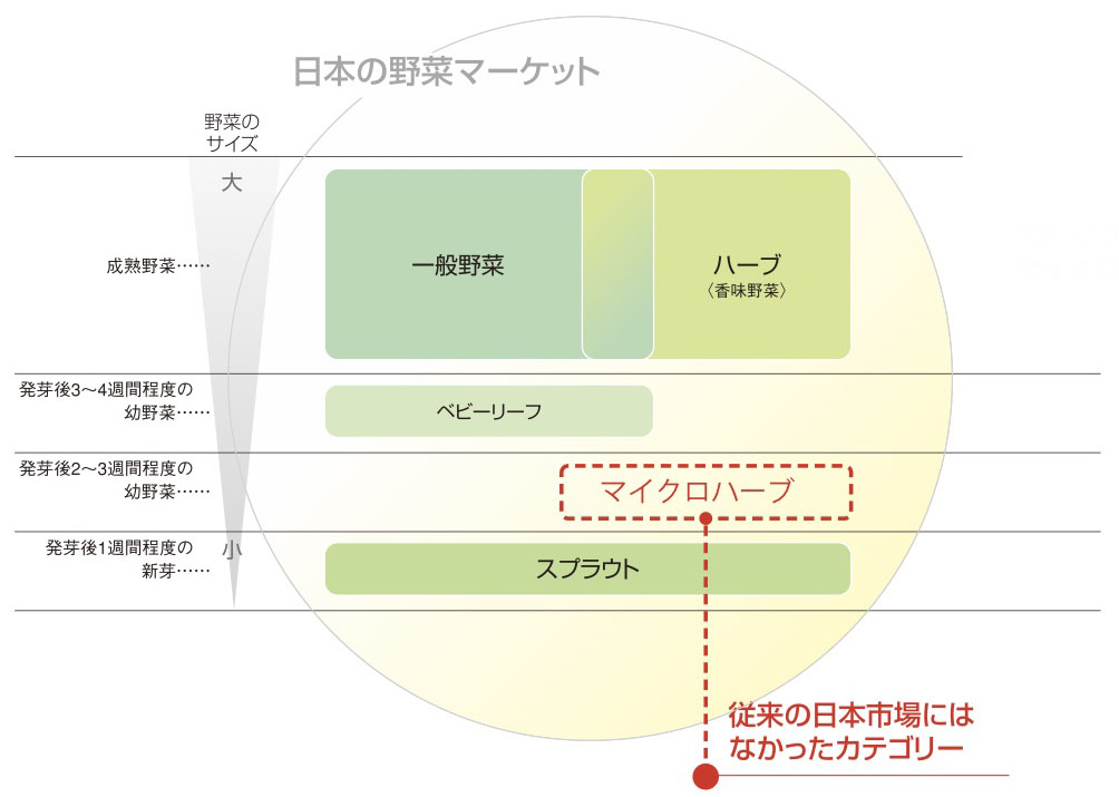 6．図1_日本の野菜のマーケット.jpg