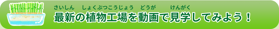 最新の植物工場を動画で見学してみよう！