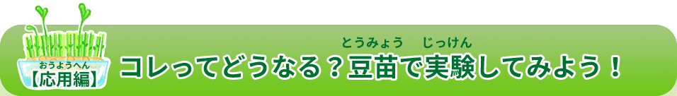 コレってどうなる？豆苗で実験してみよう！