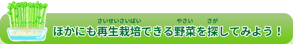 ほかにも再生栽培できる野菜を探してみよう！