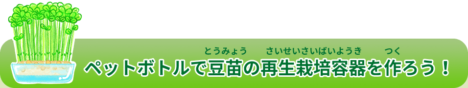 ペットボトルで豆苗の再生栽培容器を作ろう！