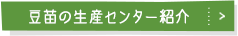 豆苗生産センター紹介
