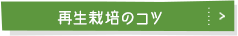再生栽培のコツ