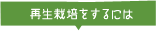 再生栽培するには