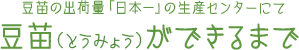 豆苗の出荷量「日本一」の生産センターにて 豆苗（とうみょう）ができるまで