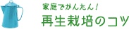 家庭でかんたん！ 再生栽培のコツ