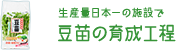 生産量日本一の施設で 豆苗の育成行程