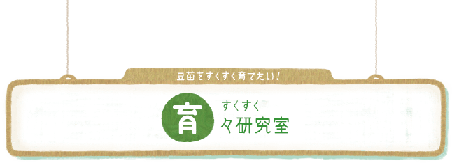 豆苗をすくすく育てたい！ 育々（すくすく）研究室