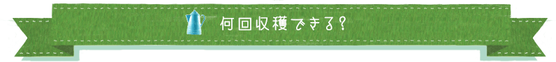 何回収穫できる？