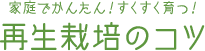 家庭でかんたん！すくすく育つ！ 再生栽培のコツ