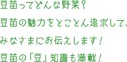 豆苗ってどんな野菜？豆苗の魅力をとことん追求して、みなさまにお伝えします！豆苗の「豆」知識も満載！