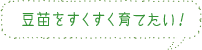 豆苗をすくすく育てたい！