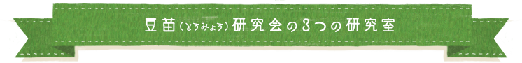 豆苗（とうみょう）研究会の３つの研究室