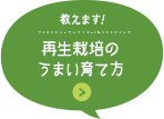 教えます！再生栽培のうまい育て方