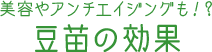 美容やアンチエイジングも！？ 豆苗の効果