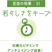 豆苗の効果01 若々しさをキープ 抗酸化ビタミンでアンチエイジング効果！