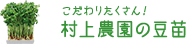 こだわりたくさん！ 村上農園の豆苗