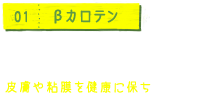 01 βカロテン 体内で必要量だけビタミンAに変わります。強い抗酸化作用があり、皮膚や粘膜を健康に保ちます。