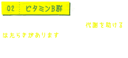 02 ビタミンB群 栄養素をエネルギーに替え、代謝を助けるはたらきがあります。豆苗には特にビタミンB1、B2、B6、ナイアシン、パントテン酸が豊富に含まれます。