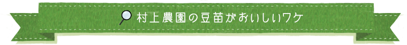 村上農園の豆苗がおいしいワケ